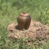 Handcrafted Walnut Wood Jar with Lid – Moroccan Artisan Work