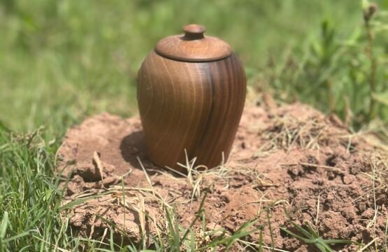IMG 4736