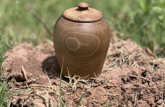 IMG 4734 00