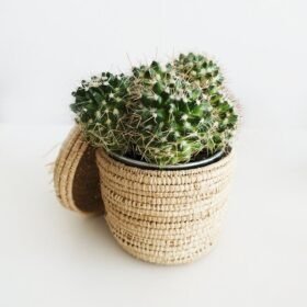 Handwoven Moroccan Raffia Storage Basket with Lid 4